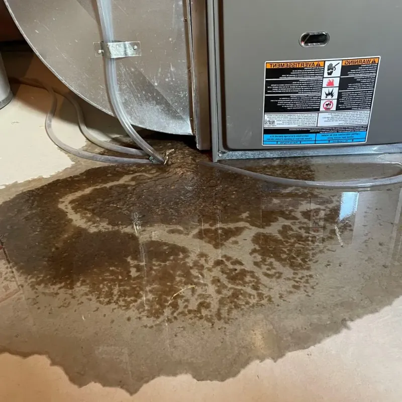 Pipe Burst and Leak Restoration in Dallas Center, IA