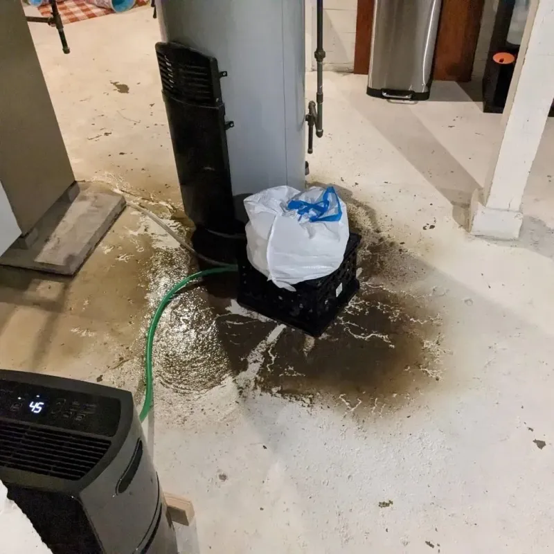 Sewage Backup Cleanup Service in Dallas Center, IA